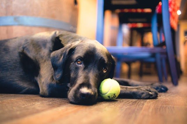The Winery at Manzanita